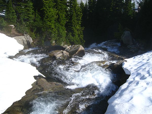 Myrtle Falls