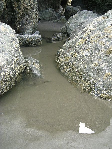 Ruby Beach Ruby Beach