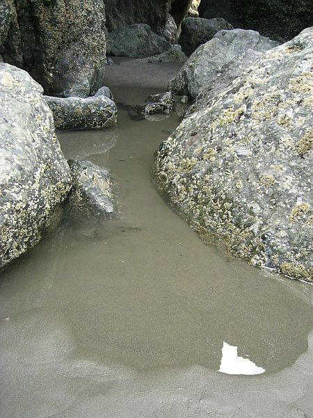 Ruby Beach