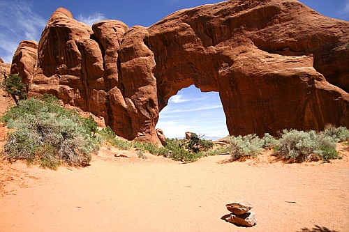 Arches National Park - Pine Tree Arch Arches National Park - Pine Tree Arch