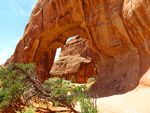 Arches National Park - Pine Tree Arch Arches National Park - Pine Tree Arch