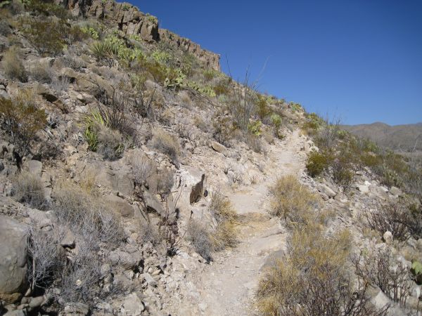 Big Bend