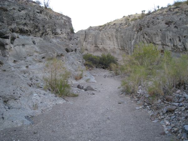 Big Bend NP