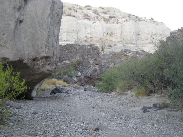 Big Bend NP