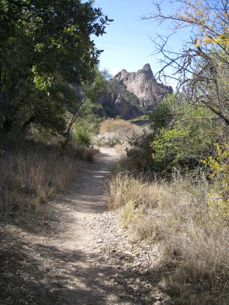 Big Bend Big Bend