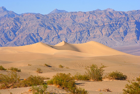 Death Valley - Mesquite Sand Dunes. Wenn man genau hinschaut, kann man in der Ferne eine Kamelkaravane durch den Wstensand ziehen sehen 