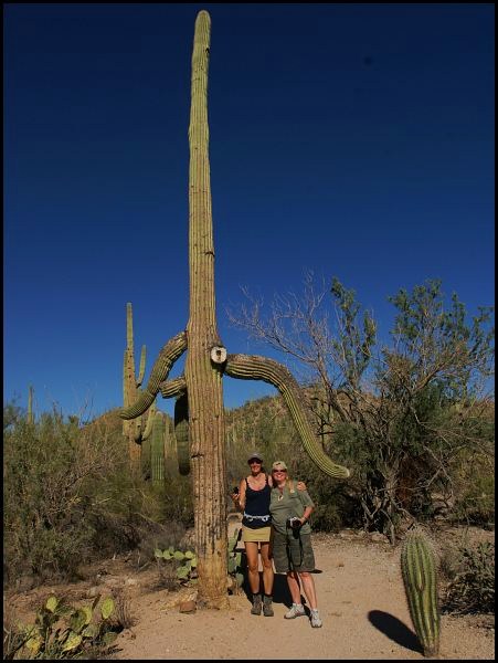Saguaro National Park Saguaro National Park