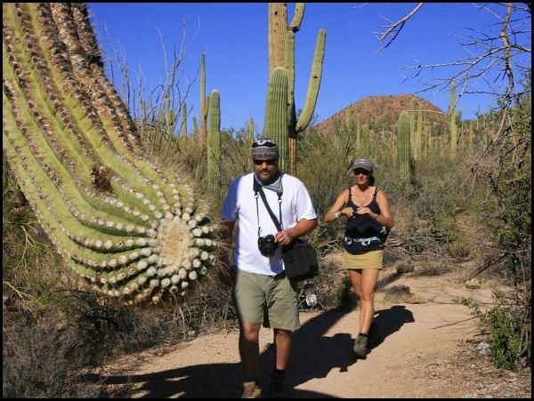 Saguaro National Park Saguaro National Park