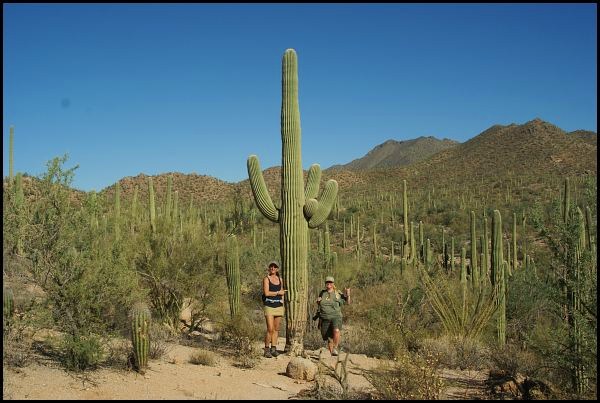 Saguaro National Park Saguaro National Park